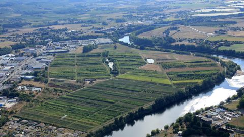 Pépinières Desmartis, à Bergerac (24), engagée dans plusieurs certifications et qui vient d’investir dans une serre à panneaux photovoltaïques, a prévu une visite de son site en fin de journée « Bonnes Pratiques » le 30 septembre. ©Desmartis